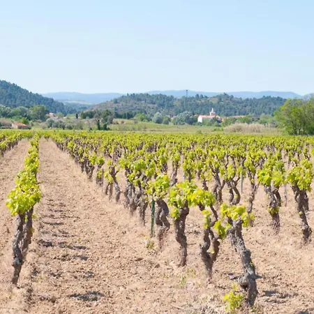 Feriehus In With Pool & Vineyards