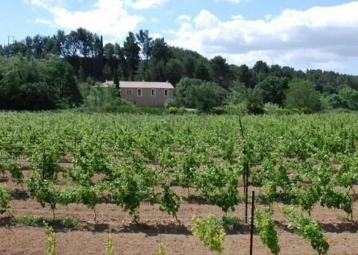 Casa vacanze In With Pool & Vineyards Montbrun-des-Corbières