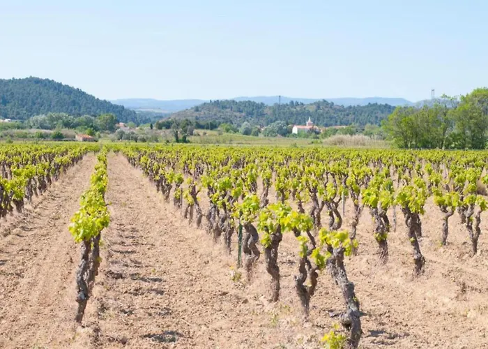 Casa vacanze In With Pool & Vineyards